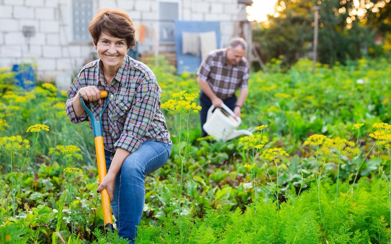 Oktobrī Pietiek Ar Sauju Sēklu, Lai Atjaunotu Nogurušo Dārzu.