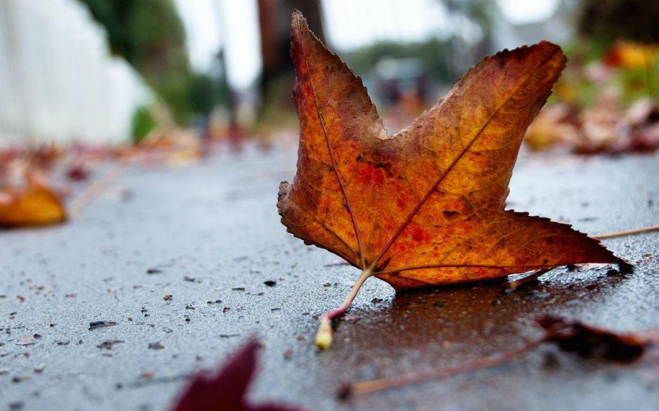 Skumjas: 6 Veidi, Kā Uzlabot Garastāvokli Rudens Pirmajās Dienās