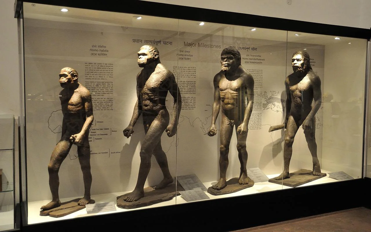 Galvaskauss, Kas Maina Visu: Miljonu Gadu Vecs Fosilija Liecina, Ka Homo Sapiens Nav Cēlies No Āfrikas.