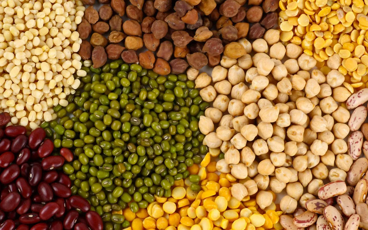 Cik Veselīgas Ir Lēcas?