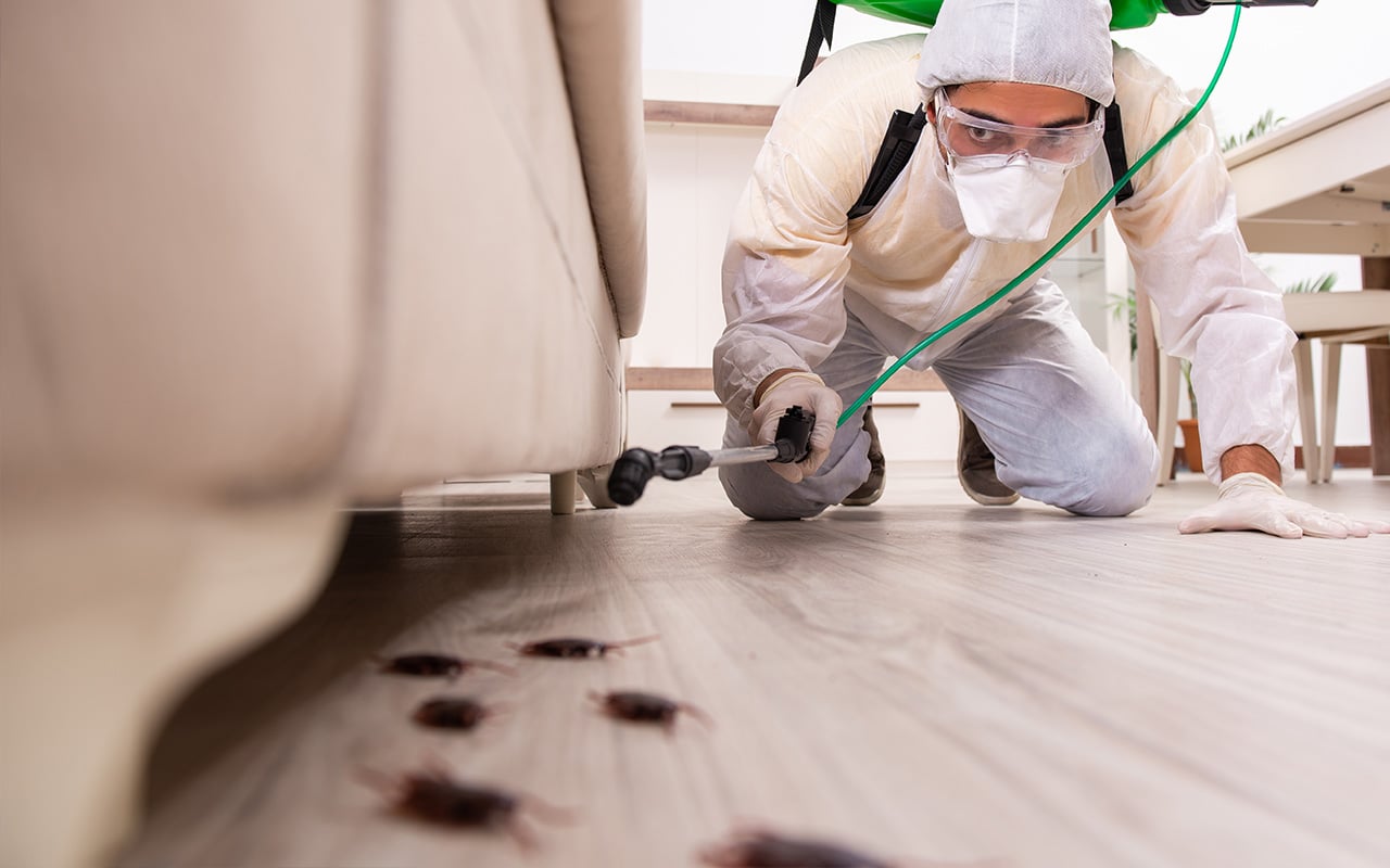 Atvadas, Balinātājs: Labākie Līdzekļi, Lai Mirklī Dezinficētu Visu Māju