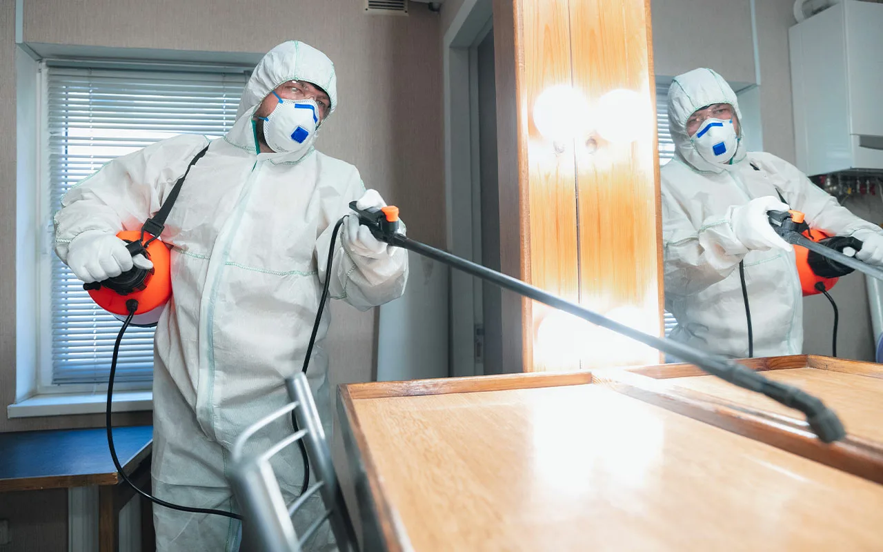 Atvadas, Balinātājs: Labākie Līdzekļi, Lai Mirklī Dezinficētu Visu Māju