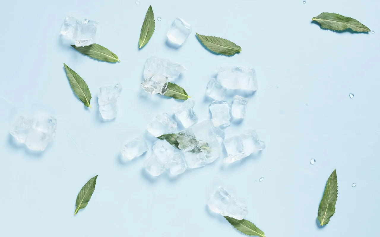 Mētru Lapu Vārīšana Mājās: Kāda Ir Tās Lietderība Un Kāpēc To Iesaka?