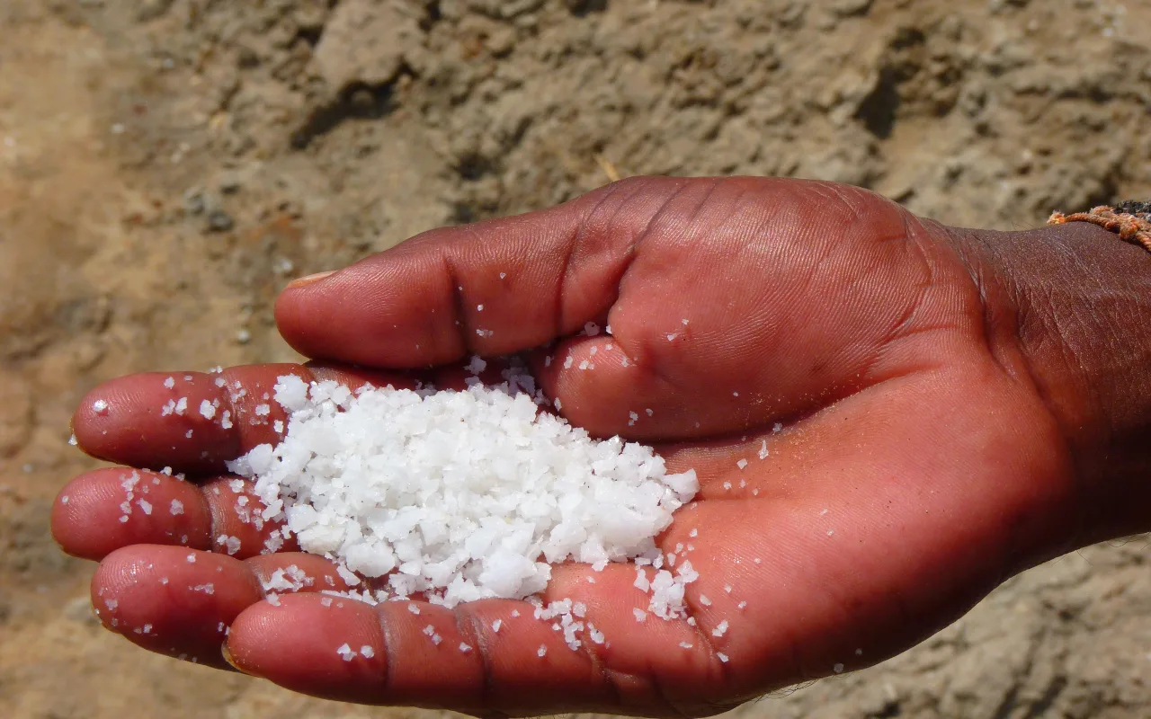 Kā Mazināt Mikroplastmasas Ietekmi Mājās: Zinātnieku Ieteikumi