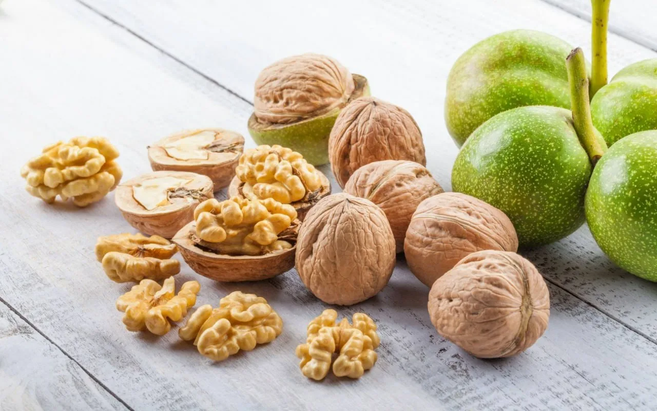 Rieksts Pilnā Ražā