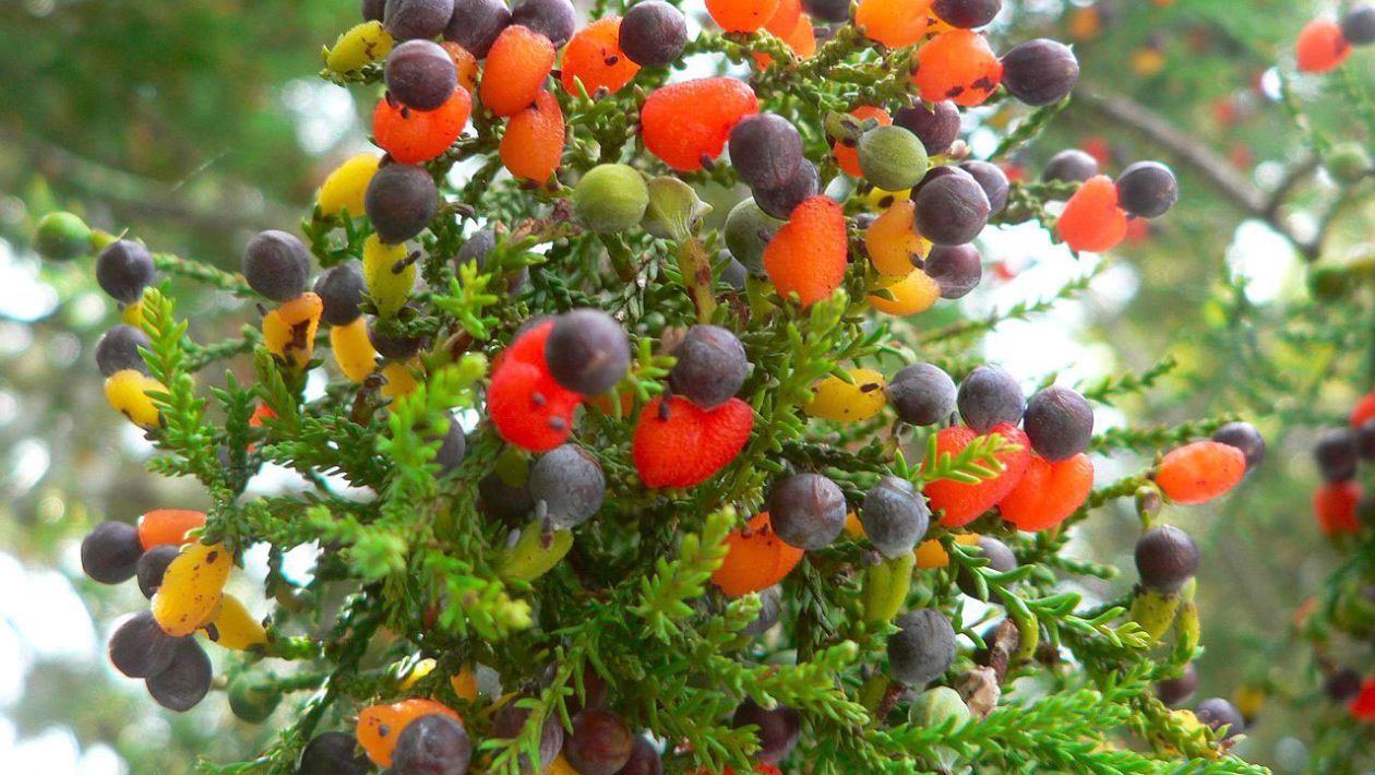 Oktobrī