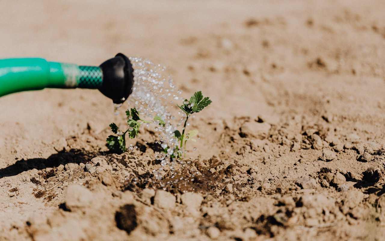 Ko Pieredzējuši Dārznieki Vienmēr Pievieno Augsnei Pirms Pirmajām Salnām
